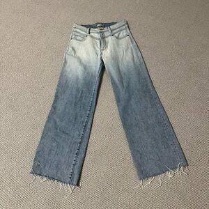 Edyson Size 26 Blue Ombre Women's Jeans, 27 inch length